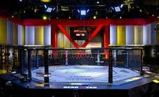 Temporada baja en UFC