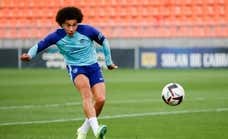 El factor Witsel como novedad