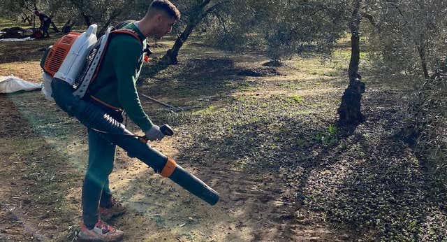 Julio Gracia, la sensación de Primera RFEF que es feliz recogiendo aceitunas