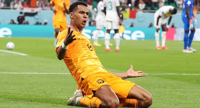 El Liverpool ficha a Gakpo, una de las joyas del Mundial
