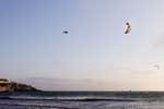 Liam Whaley, el mago del viento, vuela en casa