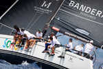 Arranca la Copa de los Swan
