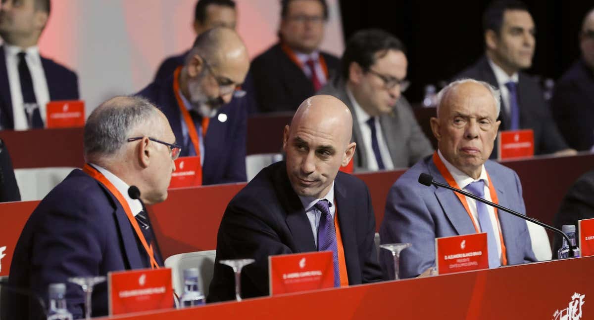 Luis Rubiales, durante una Asamblea General de la RFEF. /EFE