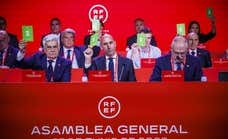 En la nueva Asamblea RFEF habrá 10 internacionales absolutos y otras curiosidades de la nueva norma electoral