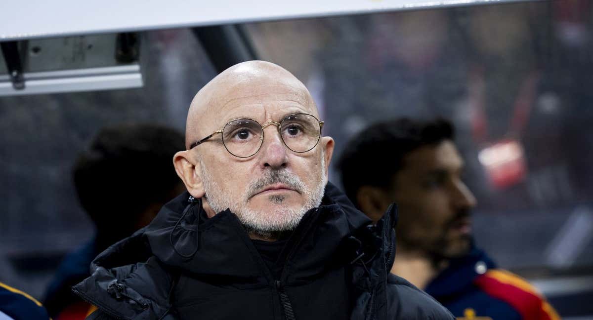 El seleccionador nacional, Luis de la Fuente, en el Ullenvaal Stadion noruego./RFEF