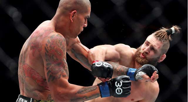 Qué tipo de guantes se usan en UFC