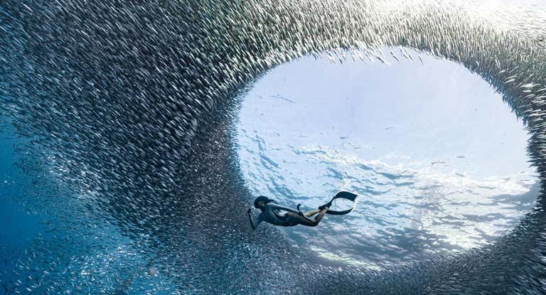 Mejor foto de 2023 en los Ocean Power Watersports Photography Awards .