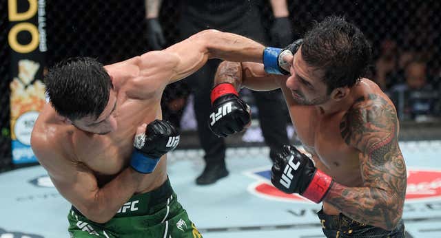 Erceg roza la proeza ante Pantoja en el UFC 301