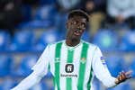 Los planes con el campeón Assane Diao: directo a Marbella... y un futuro incierto