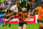 Derrota sin paliativos de los Pumas ante los All Blacks en un torneo en el que sigue mandando Sudáfrica