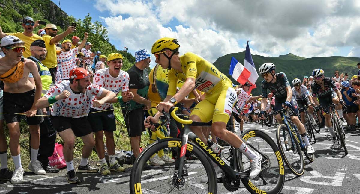 Pogacar, Vingegaard. Roglic y Evenepoel, en el Tour de 2024.