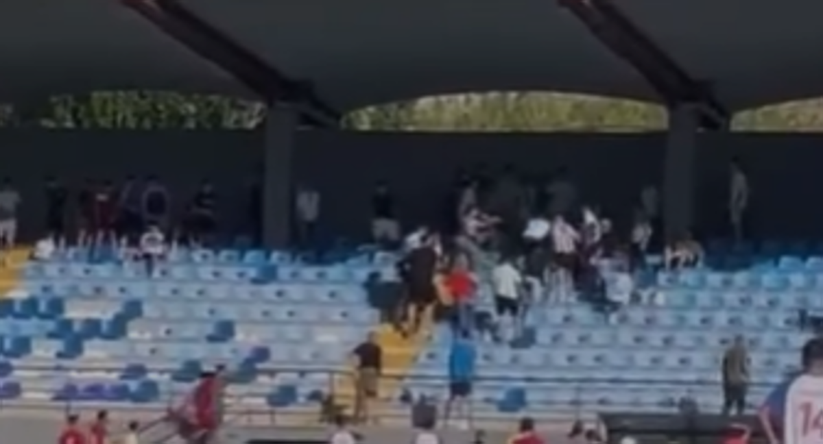 Imagen de la pelea en la grada.