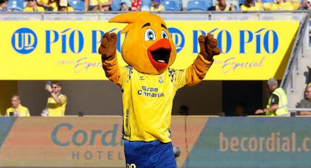 ¿Que dos mascotas están hermanadas?