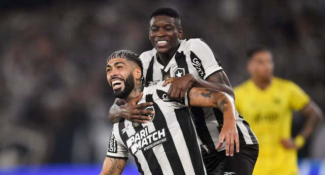 Botafogo liquida a Peñarol y la semifinal de la Libertadores en un segundo tiempo mágico