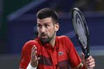 Djokovic renuncia a las ATP Finals y pone fin a la temporada