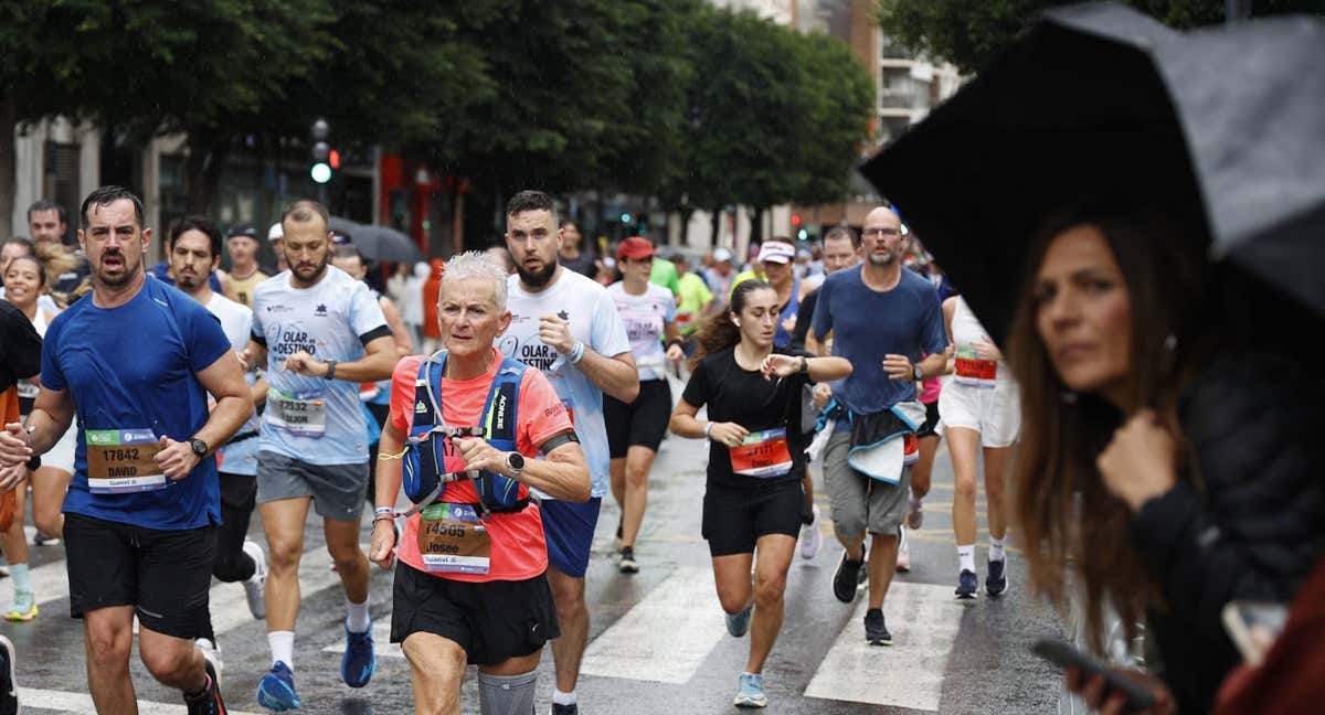 Corredores populares, en el Medio Maratón de Valencia 2024. /JESÚS SIGNES