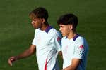 Países Bajos recibe a la primera generación de jugadores de España que no celebraron el gol de Iniesta
